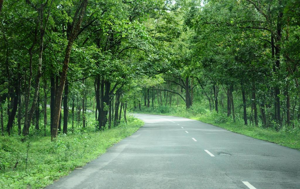 Marg Stream Valley Vythiri Bagian luar foto