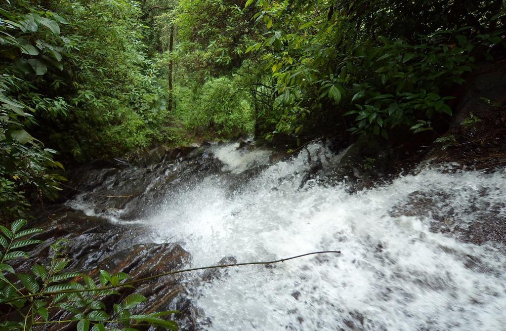 Marg Stream Valley Vythiri Bagian luar foto