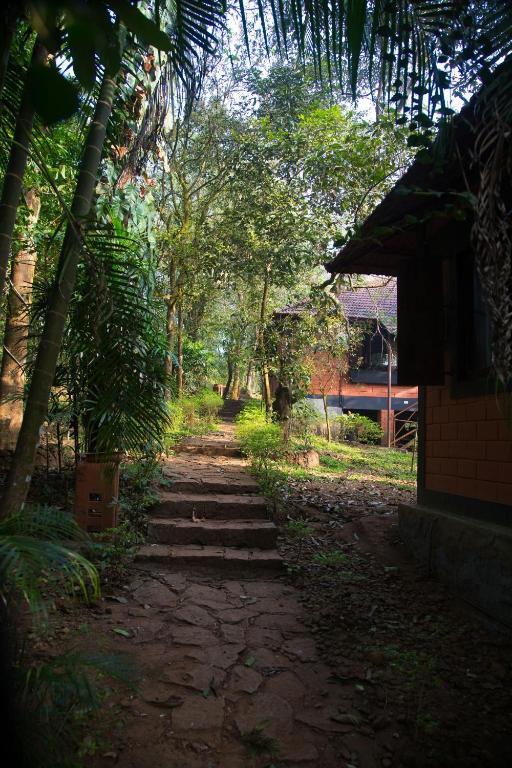 Marg Stream Valley Vythiri Bagian luar foto